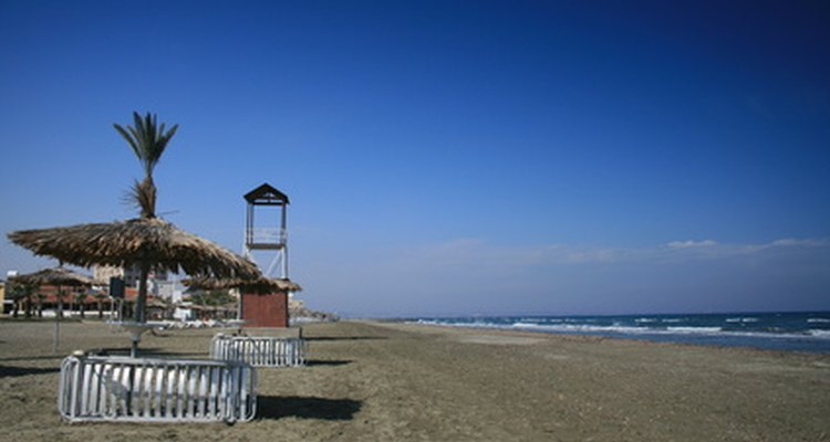 Mediterranean areas of Spain have pines, oaks and cacti.