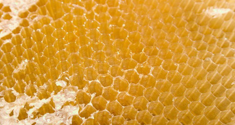 As with a honeycomb, the strength of balsa wood is increased by its cell structure.