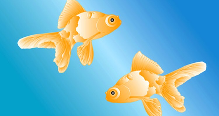 El símbolo de Piscis son los peces y está regido por el planeta Neptuno.