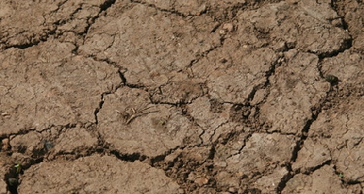 Slab rollback can occur when one tectonic plate slides beneath another one.