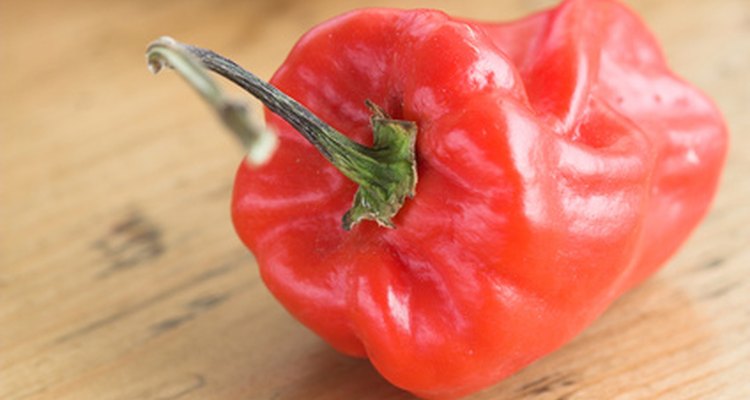Cayenne peppers are native to South and Central America.