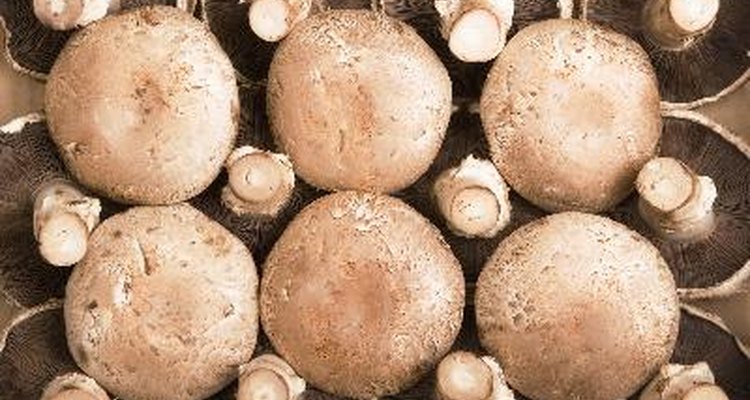 Você precisa limpar os cogumelos portobello