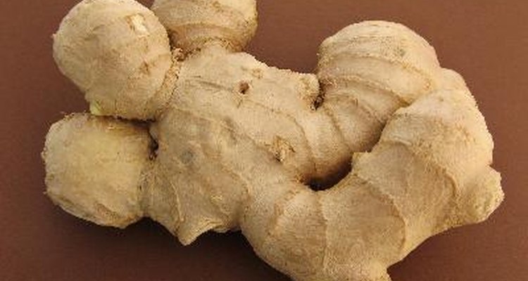 does-ginger-go-bad-how-to-tell-if-ginger-is-bad-kitchensanity