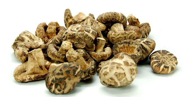 Use a terrarium to grow your own mushrooms for cooking.
