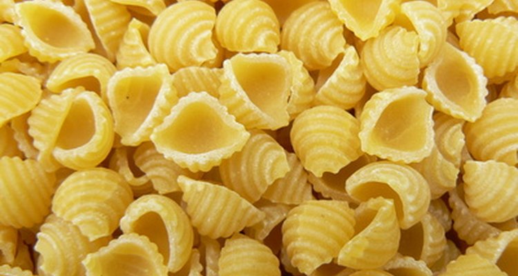 shell pasta types