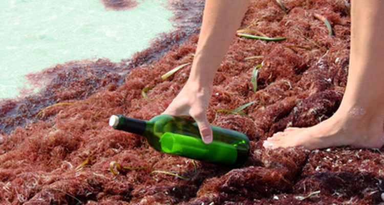 Be creative and write a fun message in a bottle for a treasure hunt.