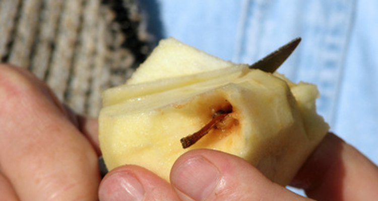 Corte a maçã em fatias finas