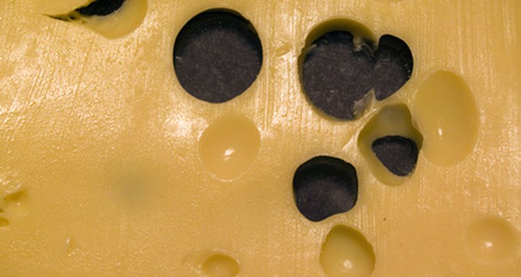 El queso gruyere es conocido por su sabor a nuez.