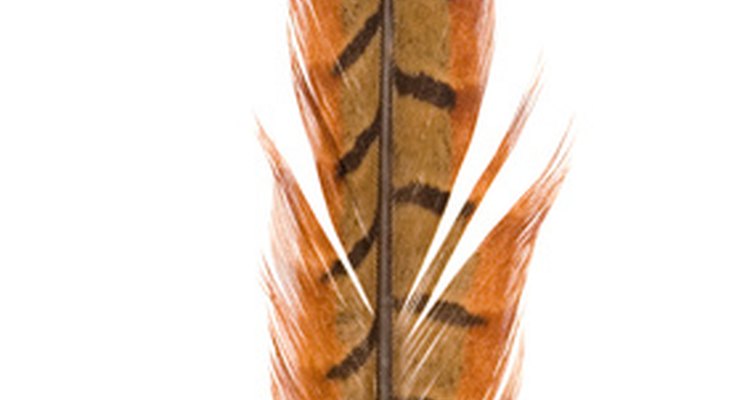 Pheasant feathers have a striking pattern.