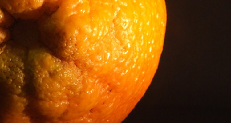 A casca de laranja é rica em antioxidantes que ajudam a combater doenças