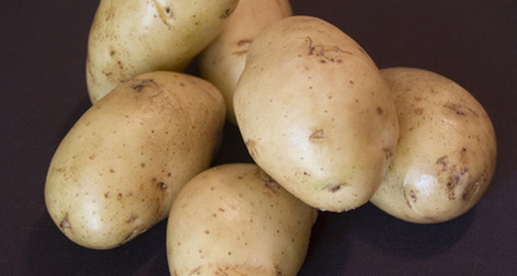 La patata no es el único bulbo con alto contenido de almidón.