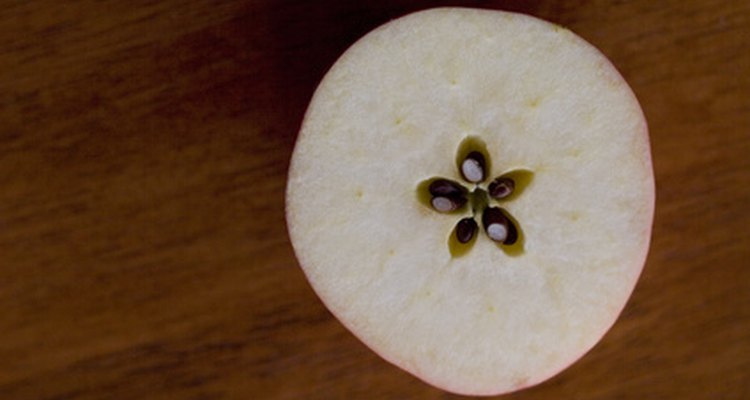Uma maçã cortada horizontalmente revela suas sementes em cinco compartimentos