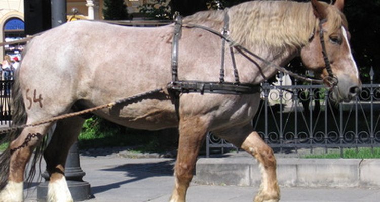 A brougham era puxada por um ou dois cavalos