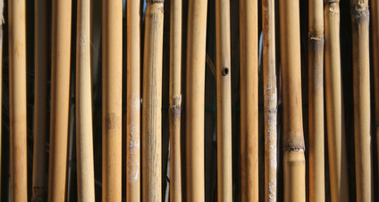 Bamboo is a very durable fencing option.