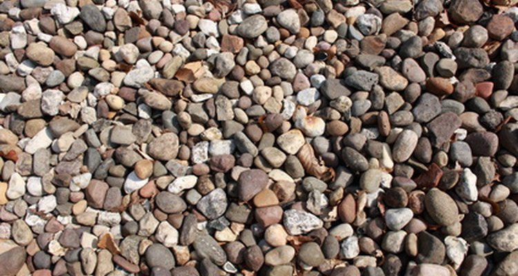You can identify most common pebbles.