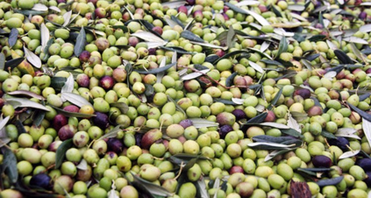 Mezcla de aceitunas negras y verdes.