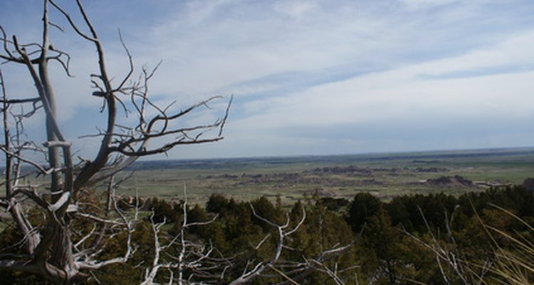 Unclaimed land is available for auction across the country.