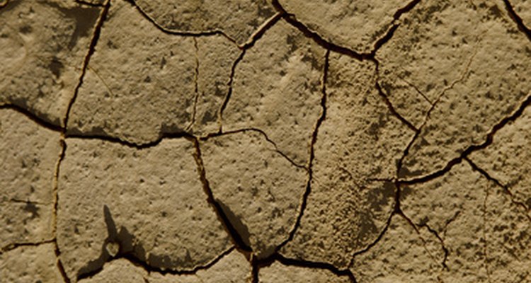 Um solo excessivamente alcalino pode ser prejudicial às plantas