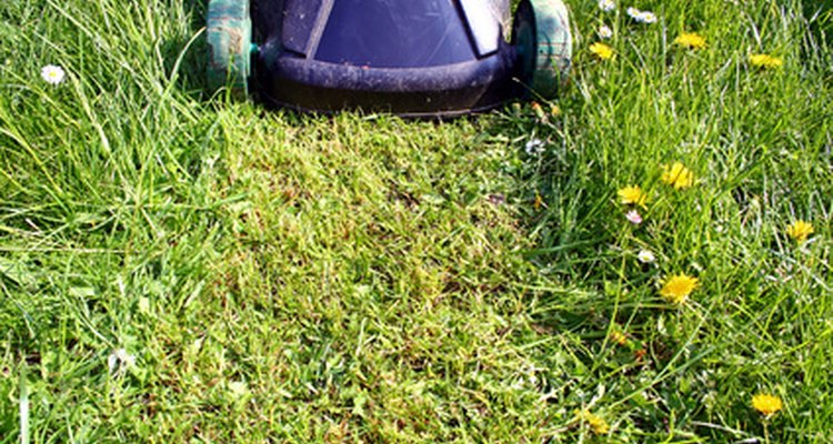The Honda GX140 is a lawnmower-sized engine.