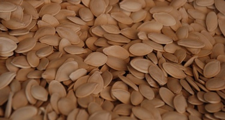 Las semillas de calabaza pueden ser trituradas y puestas en recetas de pan.