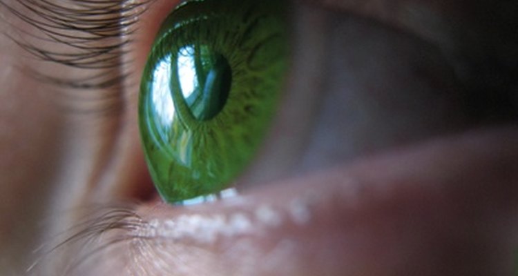 Las lentes de contacto pueden cambiar, realzar o dar brillo a tus ojos.