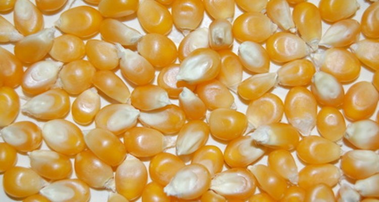 Use a 1/2 cup of popcorn kernels.