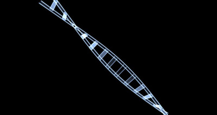 As fitas de DNA podem revelar informações genéticas importantes sobre um indivíduo