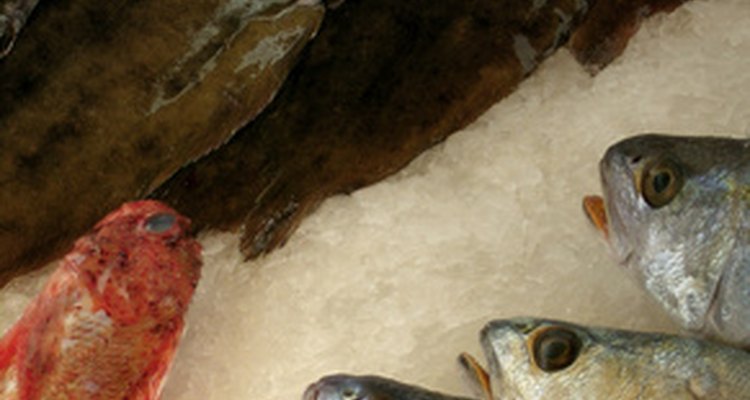 Freshness is key when purchasing fish.