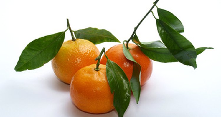 Clementines are in season during the winter months.