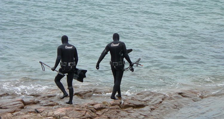 Store your wet suit properly to avoid wrinkles.