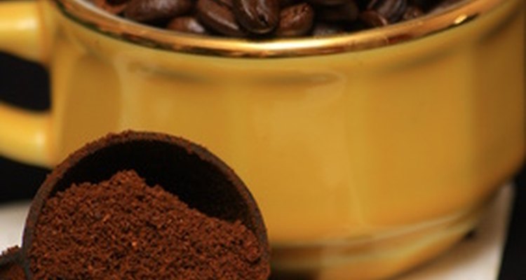 Hoje em dia existe uma enorme variedade de moedores de café