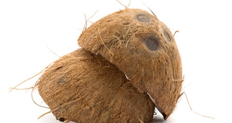 Coconut shells can be used for many different things.