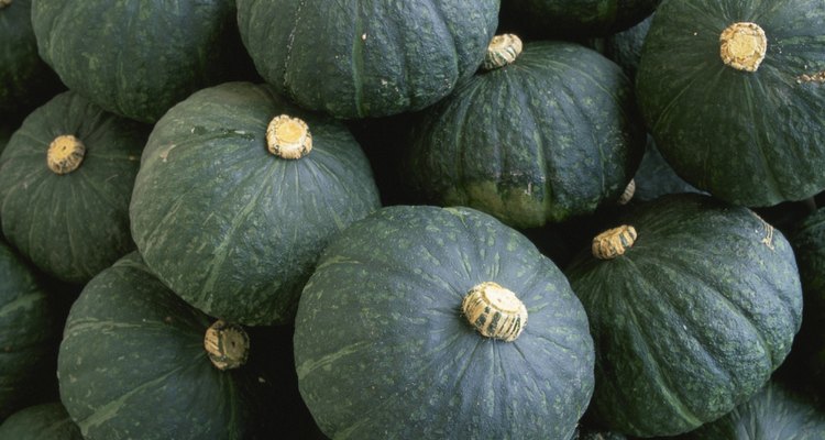 Full frame of Kabocha (Japanese Pumpkin)