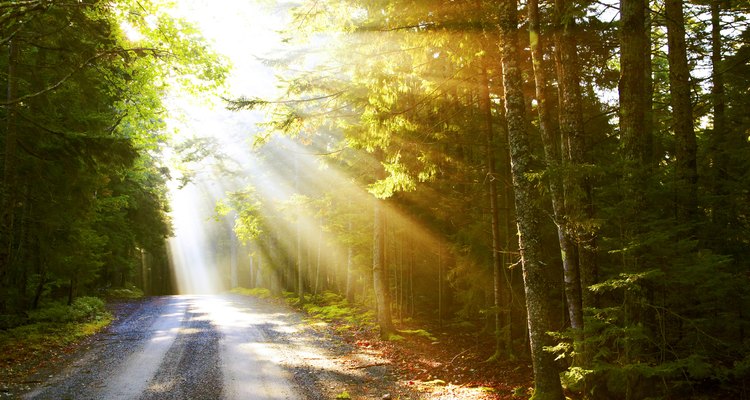 A luz solar é um agente natural contra o mofo e o bolor