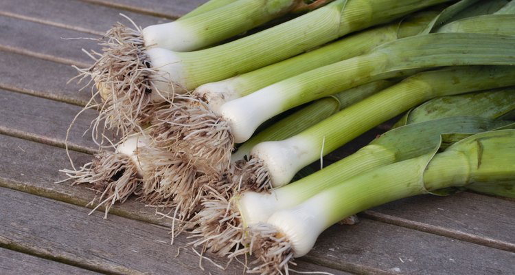 green leeks with roots