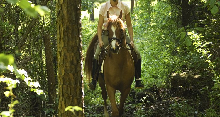 Stubben saddles are popular with hunt seat riders.