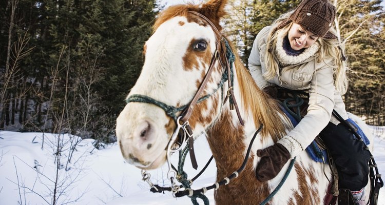 Los caballos se despojan naturalmente de su pelaje de invierno en la primavera.