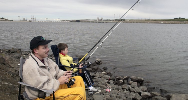 O segredo para pegar peixes é saber o que eles comem