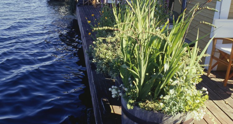 Enhance your deck with lighting.