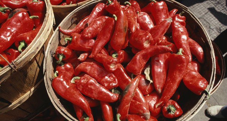 Red chilli peppers in buckets, Chile