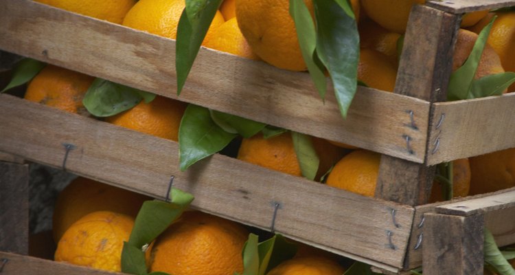 Las naranjas tiene varios elementos que contribuyen a la nutrición de la comida, como así también al sabor y a las fragancias en productos usados en la vida cotidiana.