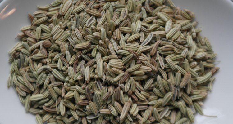 Heap of fennel seeds
