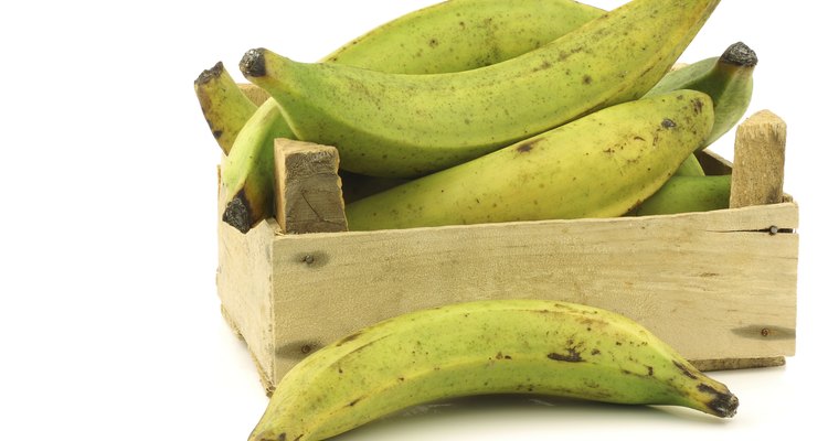 unripe baking bananas (plantain bananas) in a wooden crate