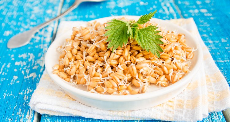 Sprouted wheat seeds with mint