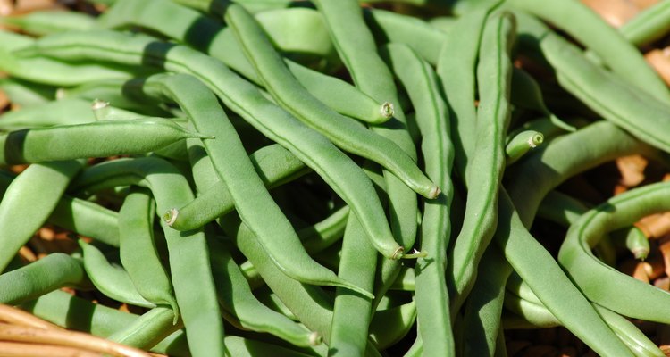 Green beans