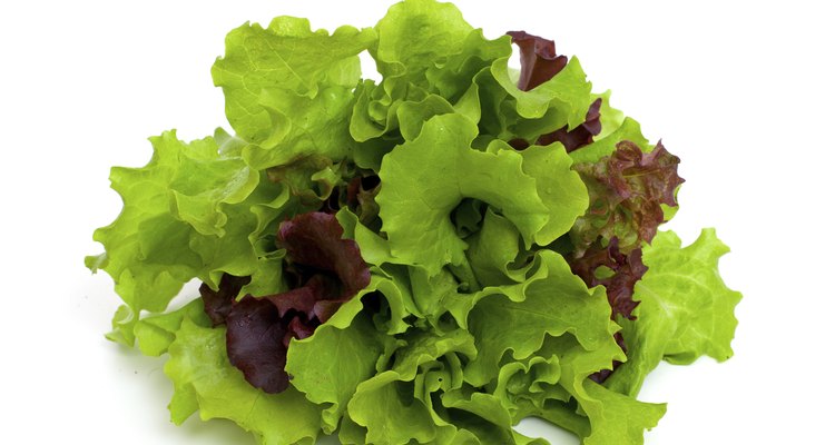 green and red lettuce