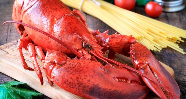 Steamed lobster