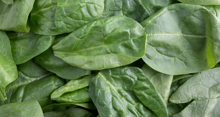 Close view of baby spinach in natural light