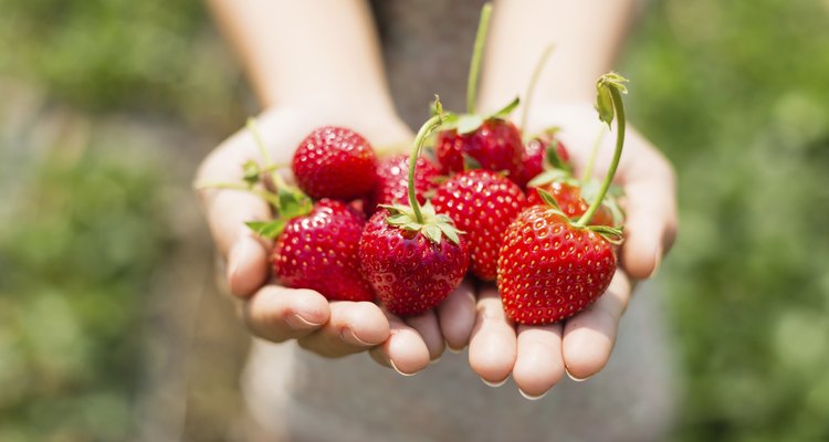 strawberry on woman hands