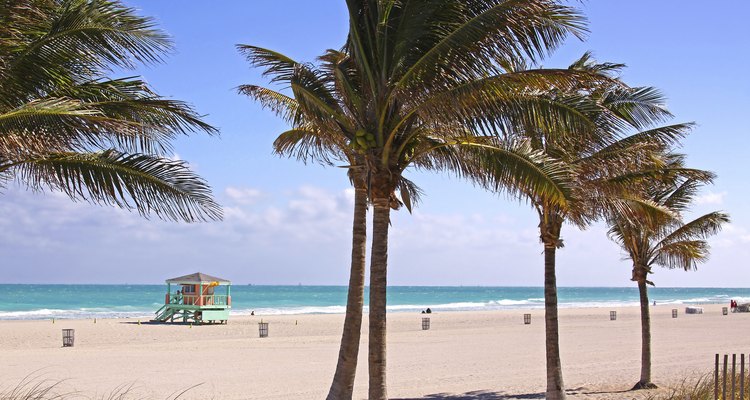 Miami Beach es excelente para visitar en enero.
